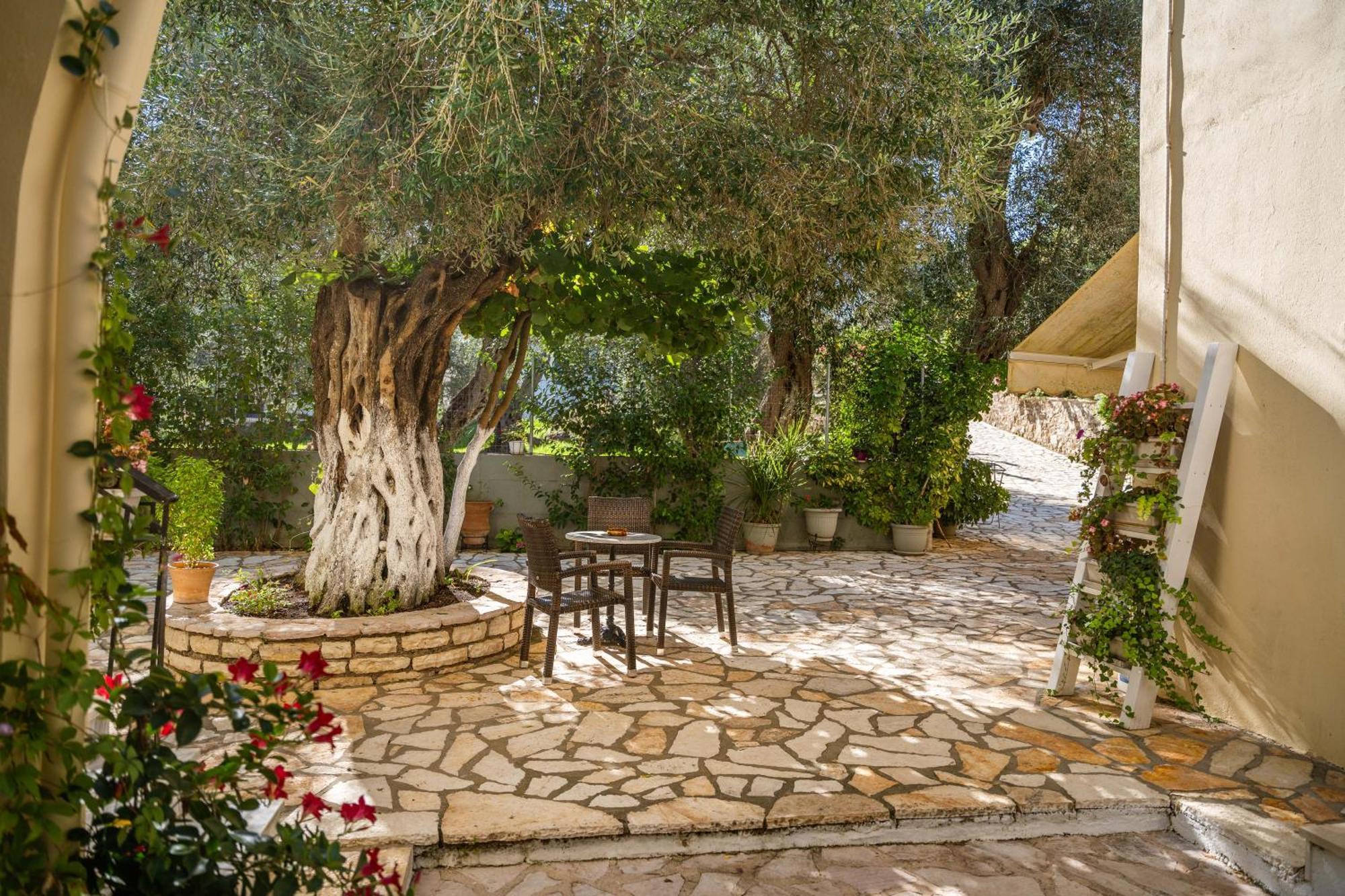 Angela Studios Sívota Dış mekan fotoğraf